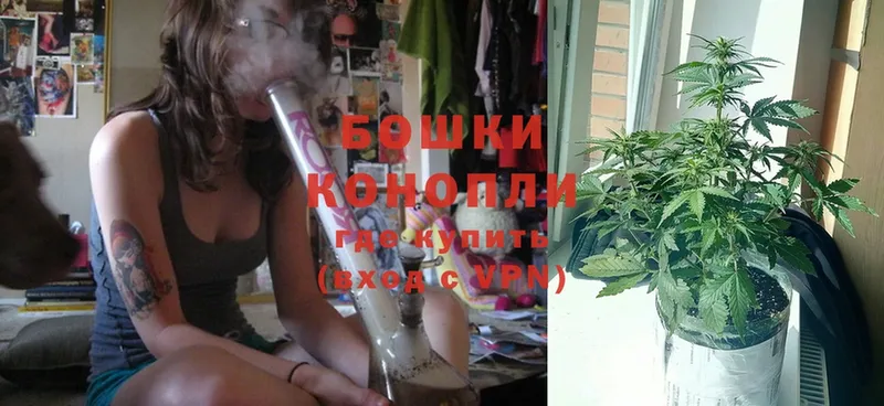 Канабис SATIVA & INDICA  Заинск 